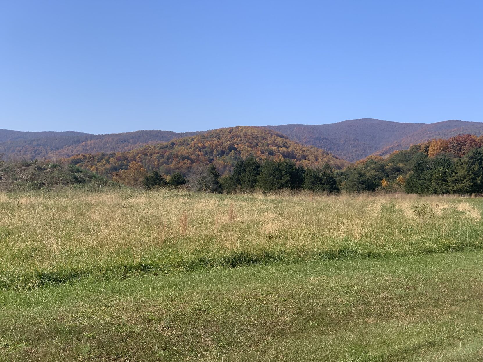 Glamping 1